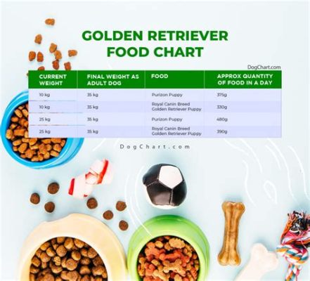 金毛幼崽喂多少狗糧合適？金毛幼崽的飲食需求與其成長階段有什麼關聯？